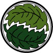 green design logo